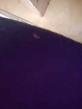 reina_neko