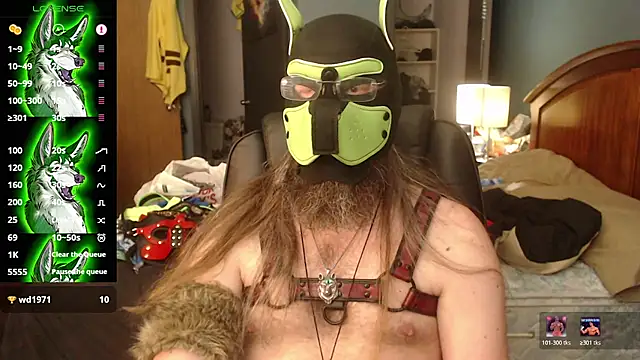 kinkywolf429
