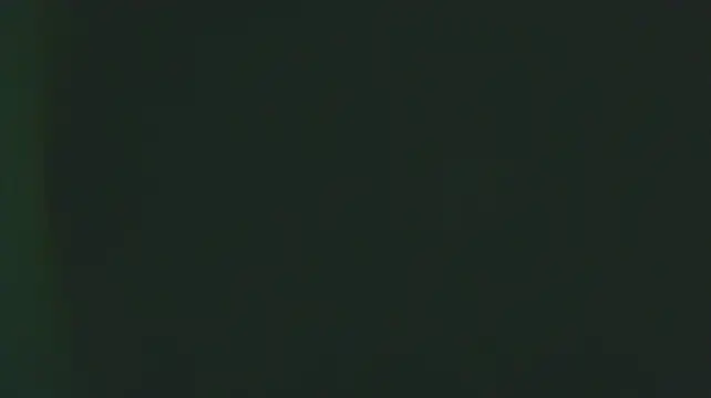 GERGINA_ROSS