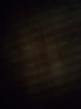 gonzalitoC4