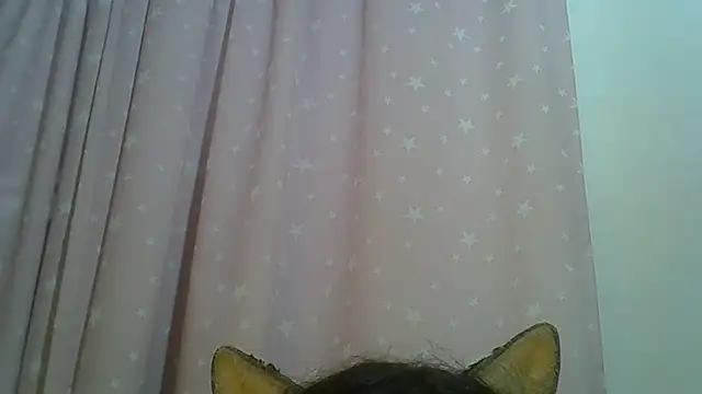 SkinnyKitten