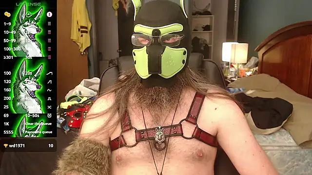 kinkywolf429