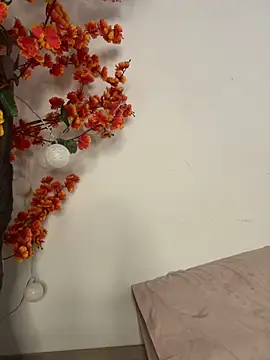 VictoriaHiill webcam