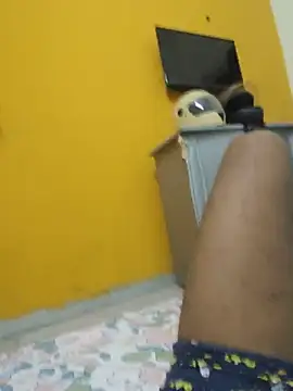 Raj_teluguboy
