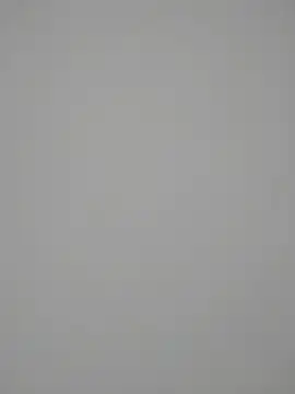 Satiritaxxx