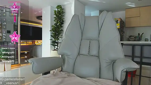 _veenus webcam