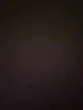 ay_perisii