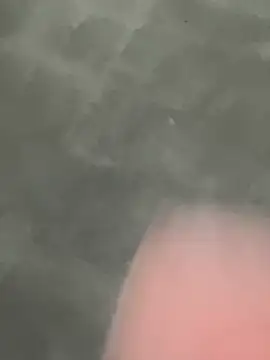 la_mas_zorra