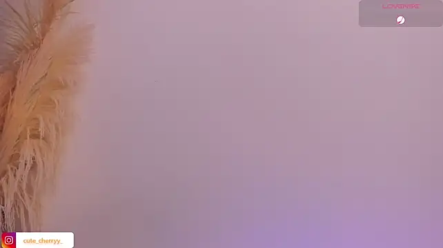 cute__cherry_ live cam on StripChat
