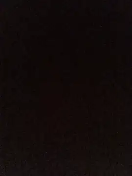 Hairy_mannn2