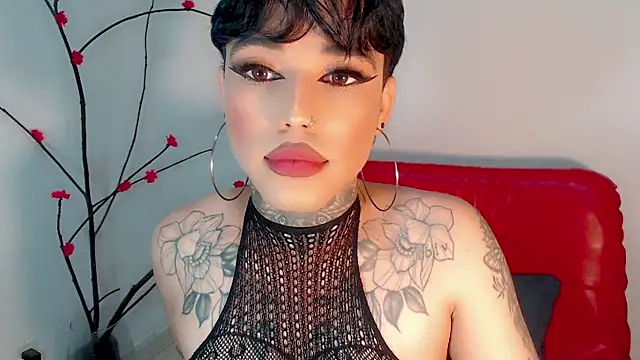 little_star_porn live cam on StripChat