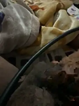 Youns98 live cam