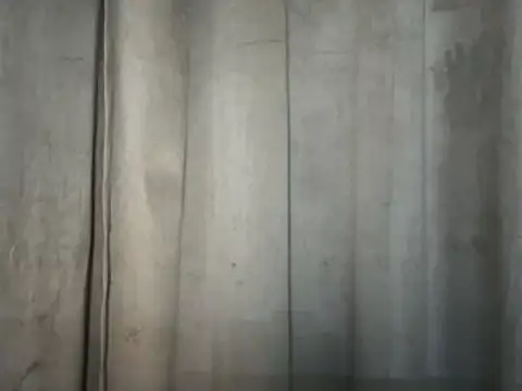 tala-toto