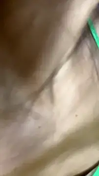 SexyAninha18