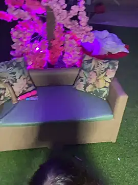 NikyFrequency