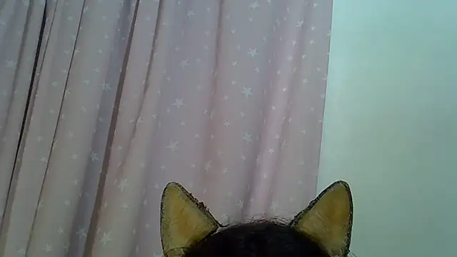Modelo: SkinnyKitten