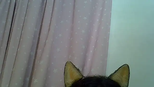 SkinnyKitten