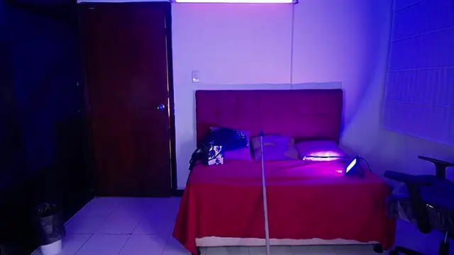 ariel_1_