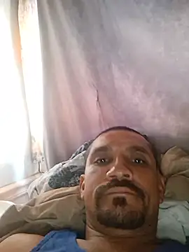 TirelessForecast781