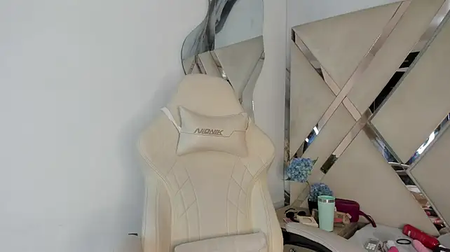 arixht webcam