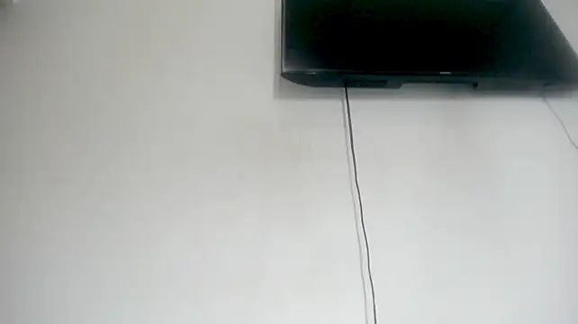 Fox_Loves
