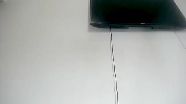 Fox_Loves