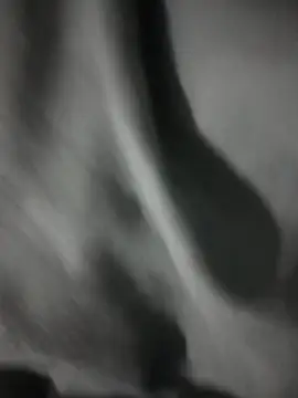 Nasipussy live cam on StripChat
