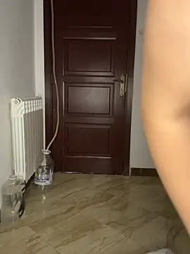 mehdi_krr1