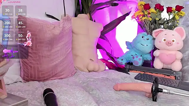 Meg_Stein