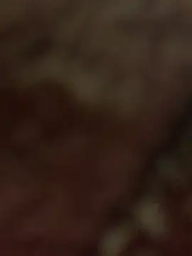 sebass-cadavid live cam on StripChat