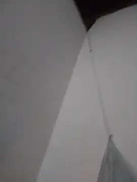 spicycouplex