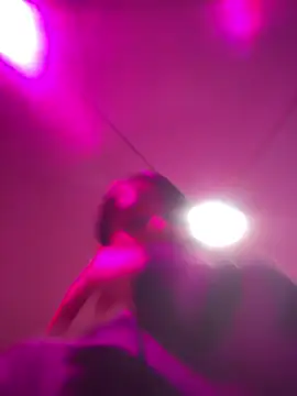 Violetbellarose1