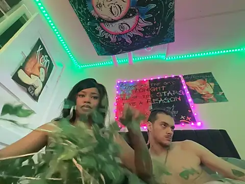 venusfairys live cam preview