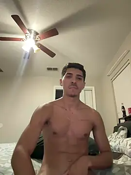 WavyAlloy30 webcam
