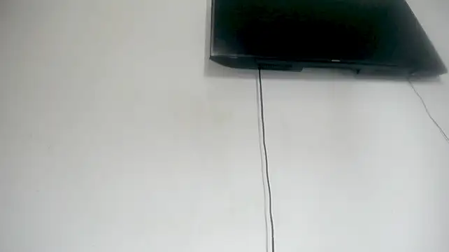 Fox_Loves