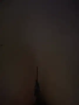 vanessa29_