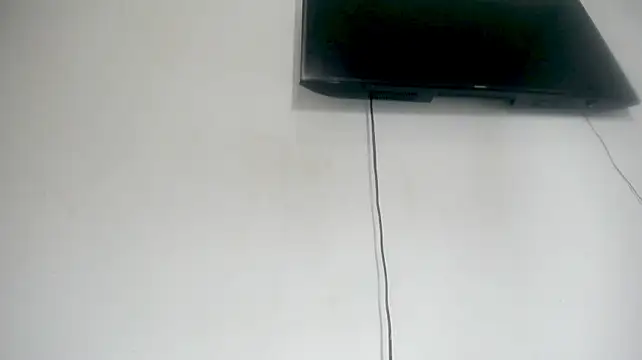 Fox_Loves