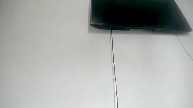 Fox_Loves