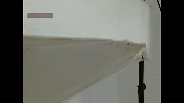 ebonywilder456