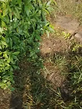 YOURBHABI143