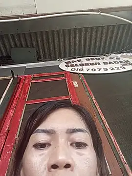 egisartika