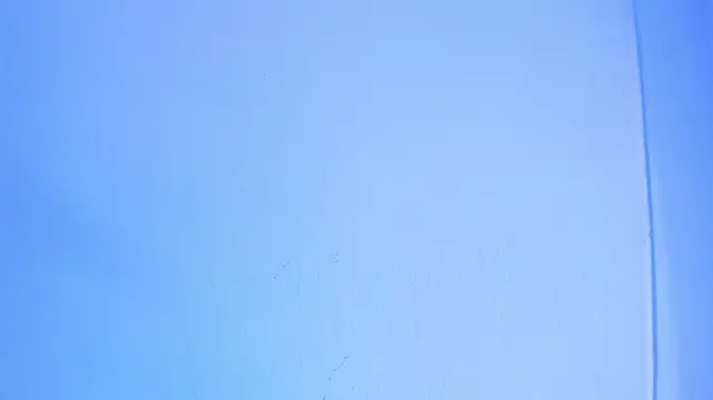 NiaConnors_