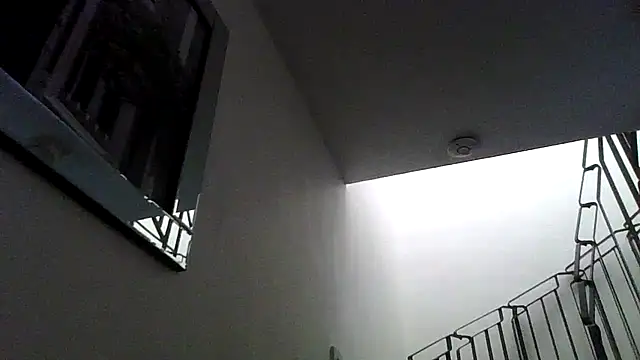 elliebabesxox