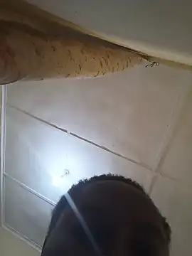 Osimbos live cam preview