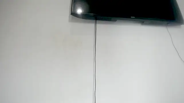Fox_Loves