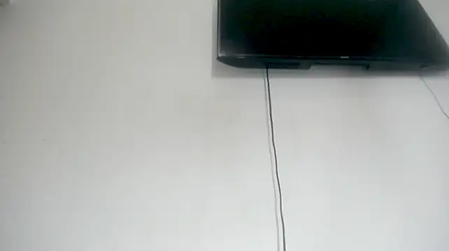 Fox_Loves