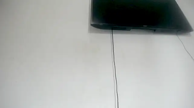 Fox_Loves