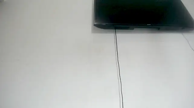 Fox_Loves