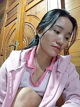 Td3di webcam