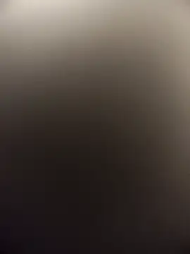 trendy_Squirreel